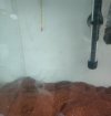 IMG-20220314-WA0012.jpg