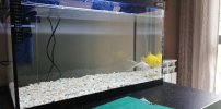 IMG_20220318_172536.jpg
