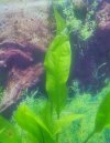 20220525_191034.jpg