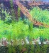 20220519_161228.jpg