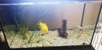 IMG_20220607_085903.jpg