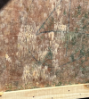 1660170165163.png
