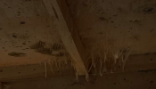 1660170296710.png