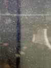 F0F46783-D89F-49C0-91E3-EDA90262B06D.jpeg