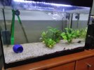 acuario.jpg