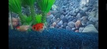 thumbnail_1675327540790.jpg