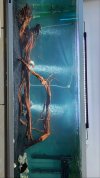 208D12AF-5CE4-4EC5-A351-ED5AE199848D.jpg