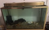 thumbnail_IMG_6633.jpg