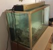 thumbnail_IMG_6634.jpg
