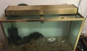 thumbnail_IMG_6635.jpg