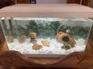 acuario1.jpg
