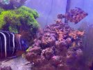 thumbnail_IMG_1223.jpg thumbnail_IMG_1223.jpg