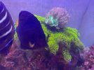 thumbnail_IMG_1224.jpg thumbnail_IMG_1224.jpg
