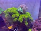 thumbnail_IMG_1226.jpg thumbnail_IMG_1226.jpg