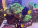 thumbnail_IMG_1229.jpg thumbnail_IMG_1229.jpg