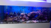 IMG-20180609-WA0010.jpeg
