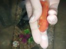 20230915_152653.jpg