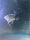 IMG_6433.jpeg