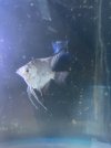 IMG_6432.jpeg