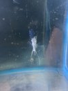 IMG_6431.jpeg
