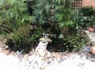 IMG_9234.jpeg