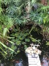 IMG_9236.jpeg