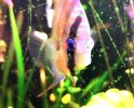 IMG_20240203_163716.jpg