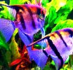 Screenshot_2024-02-03-16-33-25-533_com.instagram.android-edit.jpg