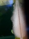 20240601_150407.jpg