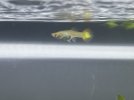 IMG_3479.jpeg