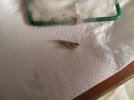 IMG-20160904-WA0006.jpg