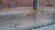 IMG-20160905-WA0012.jpg