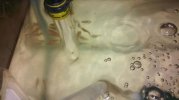 IMG-20160913-WA0002.jpg