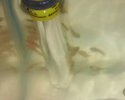 IMG-20160913-WA0001.jpg