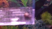 20160916_224939_opt.jpg