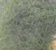 IMG-20160923-WA0021.jpg