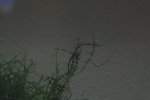 IMG-20160923-WA0014.jpg