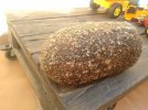 IMG-20160923-WA0034.jpg