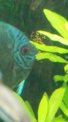 IMG-20160721-WA0027.jpg