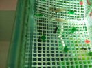 IMG-20161003-WA0001.jpg