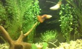 IMG-20161015-WA0005.jpg