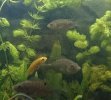 _20161030_073859.JPG _20161030_073859.JPG