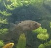 _20161030_073926.JPG _20161030_073926.JPG