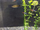 IMG-20161126-WA0007.jpg