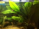 IMG-20161127-WA0008.jpg