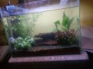 IMG-20161203-WA0001_opt.jpg