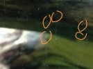 IMG-20161215-WA0038.jpg
