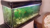 20161122_134423#2.jpg