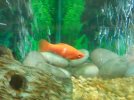 20161226_105404.jpg