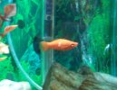 20161226_105813.jpg